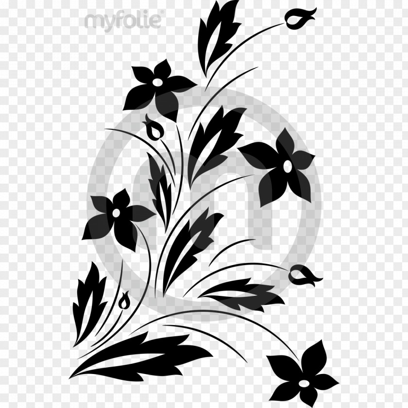 Flower Floral Ornament CD-ROM And Book Design Clip Art Vector Graphics PNG