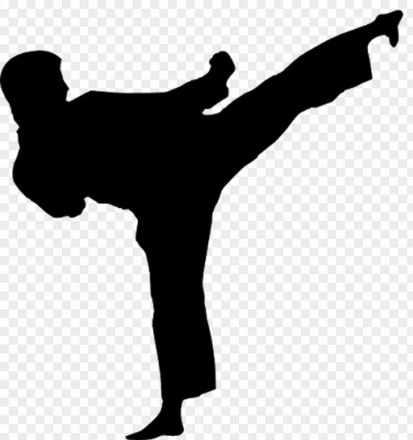 Karate Martial Arts Kick Taekwondo Obi PNG