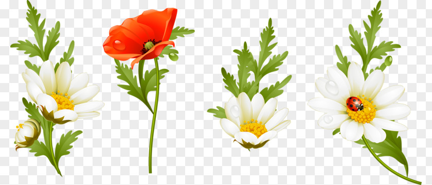 Flower Floral Design Lossless Compression PNG