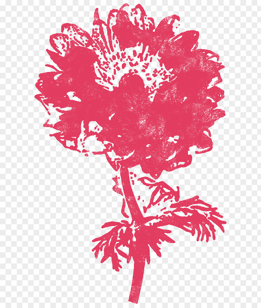 Flower Floral Design Red Poppy Anemone PNG