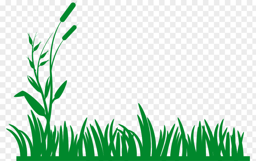 Grass Field Cliparts Free Content Stock Photography Clip Art PNG