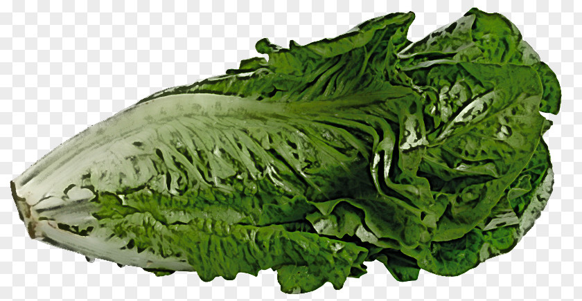 Spring Greens Collard Romaine Lettuce Rapini Vegetable PNG