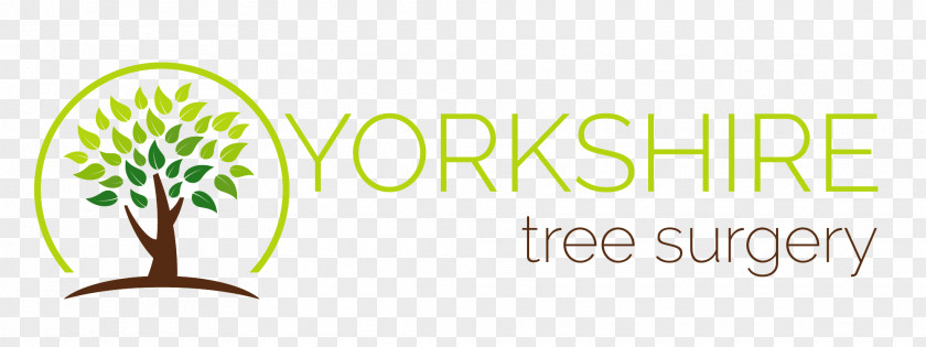 Tree Yorkshire Surgery / Care Hull And Brand Bespoke Inspiration Ltd Industry PNG