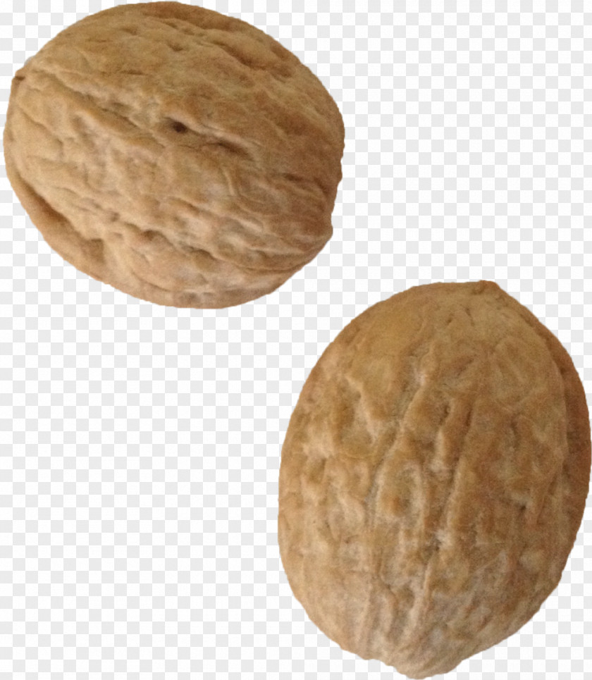 Walnut Truth Of Two Icon PNG