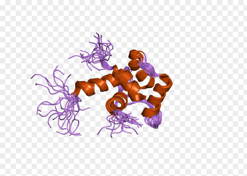 Xeroderma Pigmentosum Centrin 1 2 Protein Family PNG