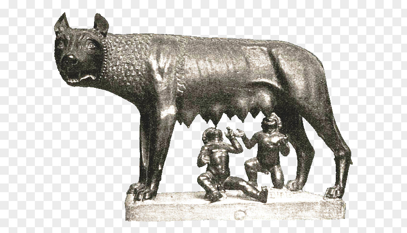 Ancient Beast Capitoline Wolf Gray Museums Origo Gentis Romanae Romulus And Remus PNG