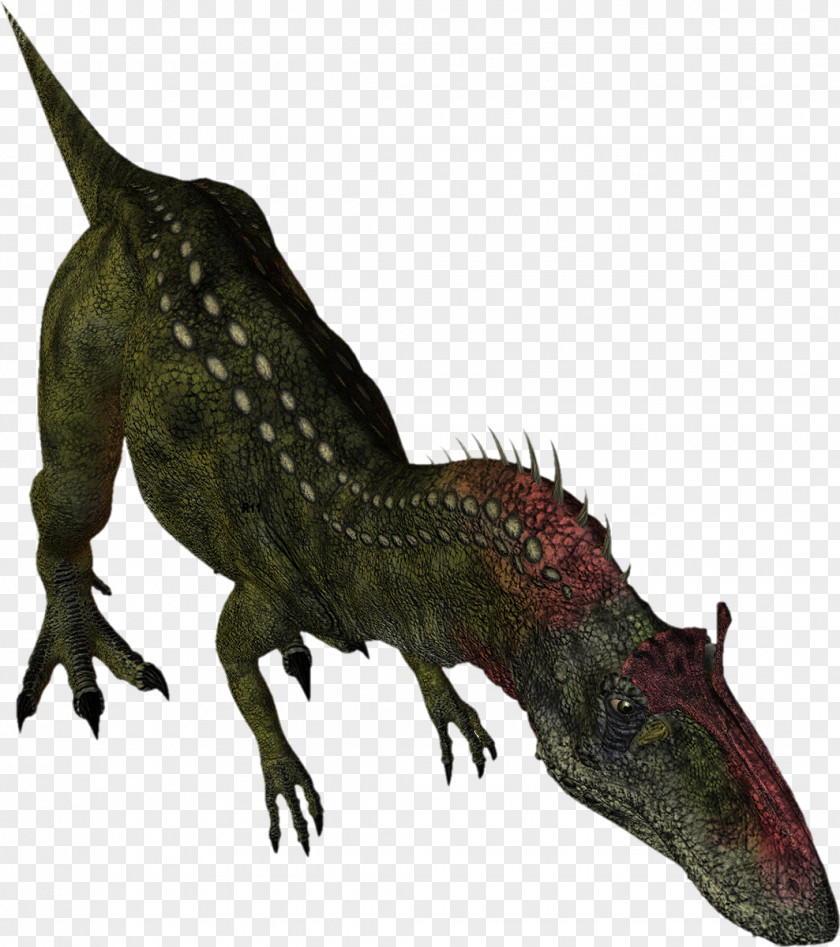Dinosaurs Tyrannosaurus Crocodiles Dinosaur Dragon Fauna PNG