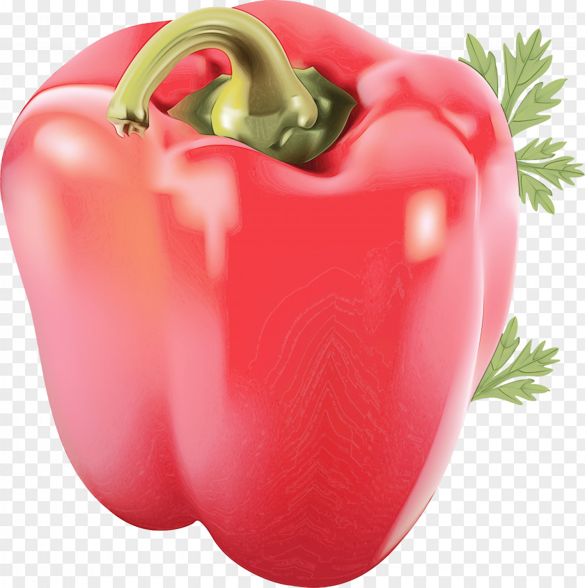 Green Bell Pepper Nightshade Family Vegetable Cartoon PNG