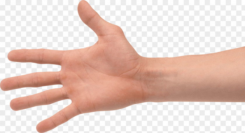 Hands Hand Image Thumb Gesture PNG