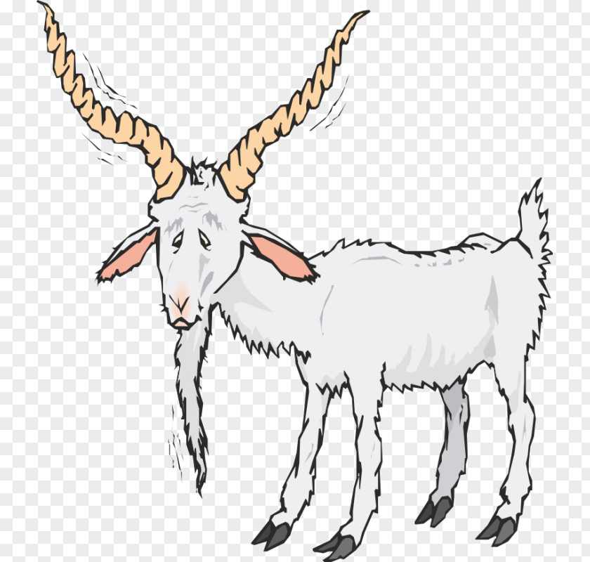 Sheep Boer Goat Clip Art PNG