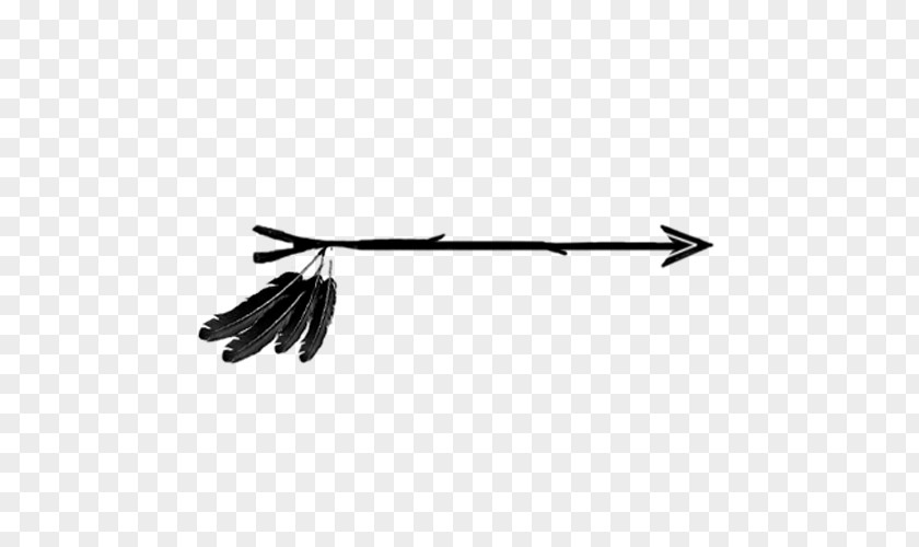 Boho Arrow Feather Clip Art PNG
