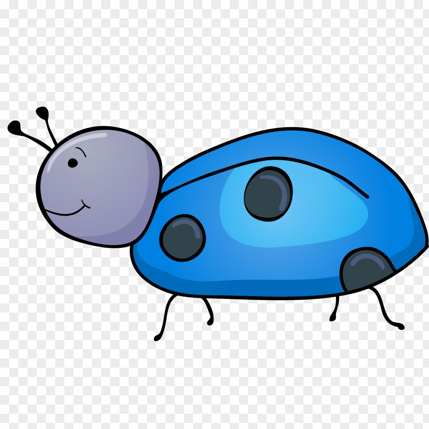 Cartoon Beetle Vector Ladybird Drawing Clip Art PNG