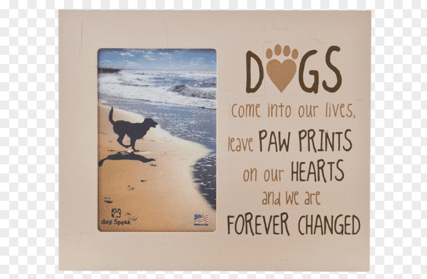 Cat Paw Pet Airedale Terrier Picture Frames PNG