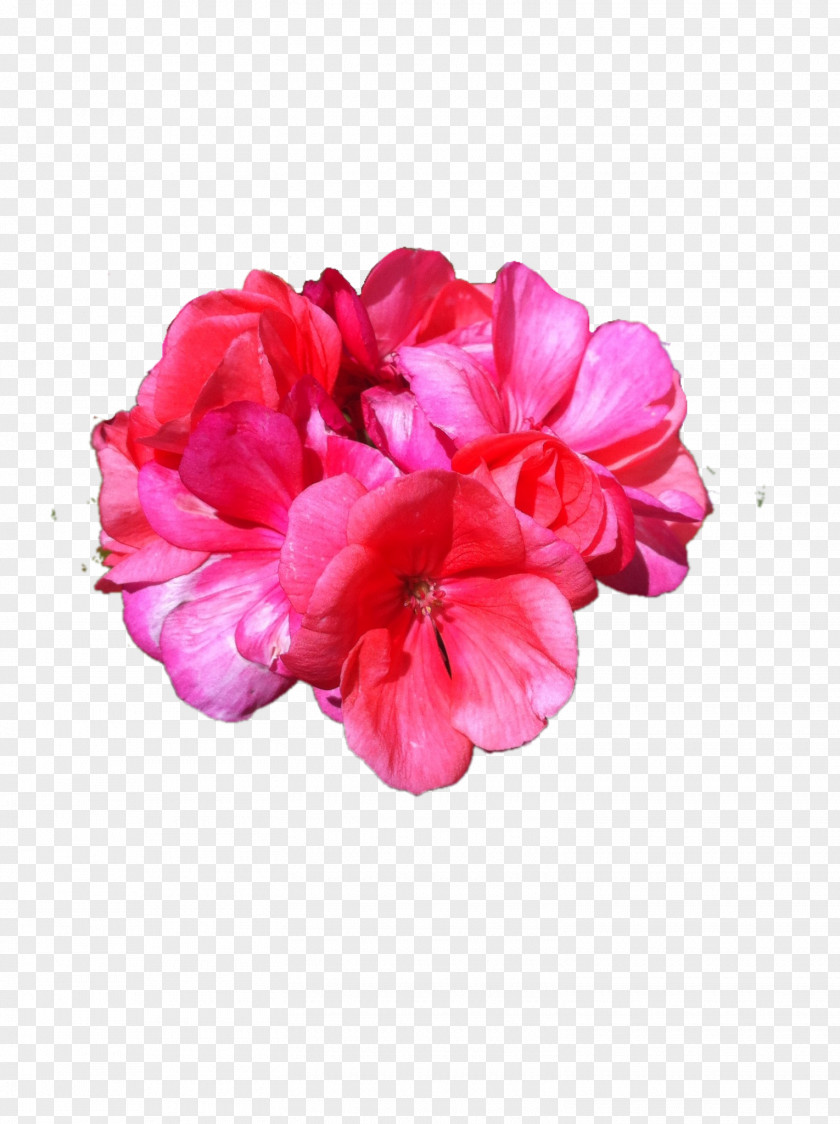 Chinese Flower Petal Superimposition Rose PNG
