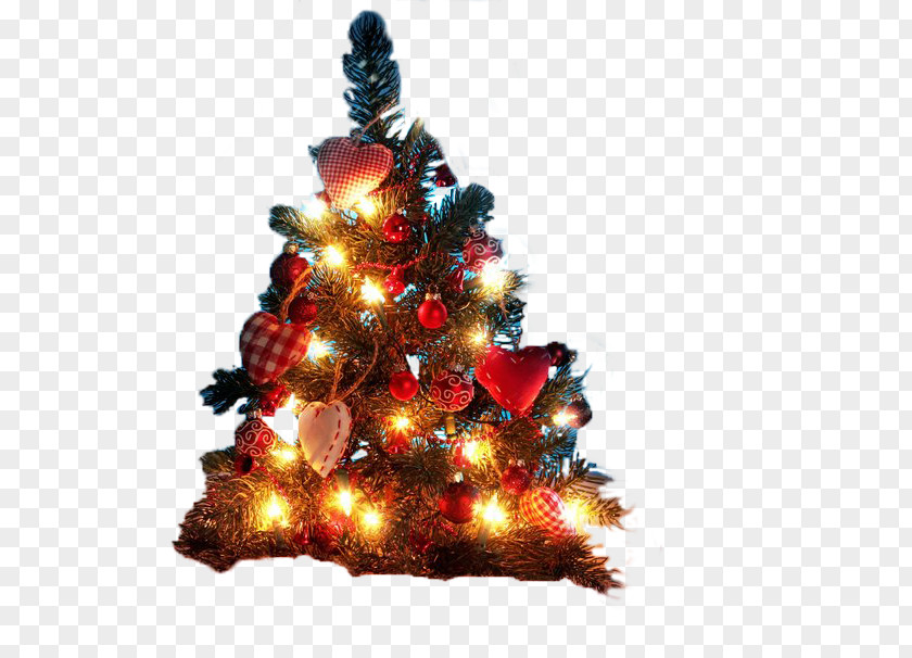 Christmas Tree Decoration Desktop Wallpaper Lights PNG