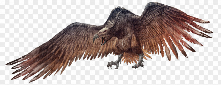 Creatures ARK: Survival Evolved Bird Dimorphodon Argentavis Magnificens Spinosaurus PNG