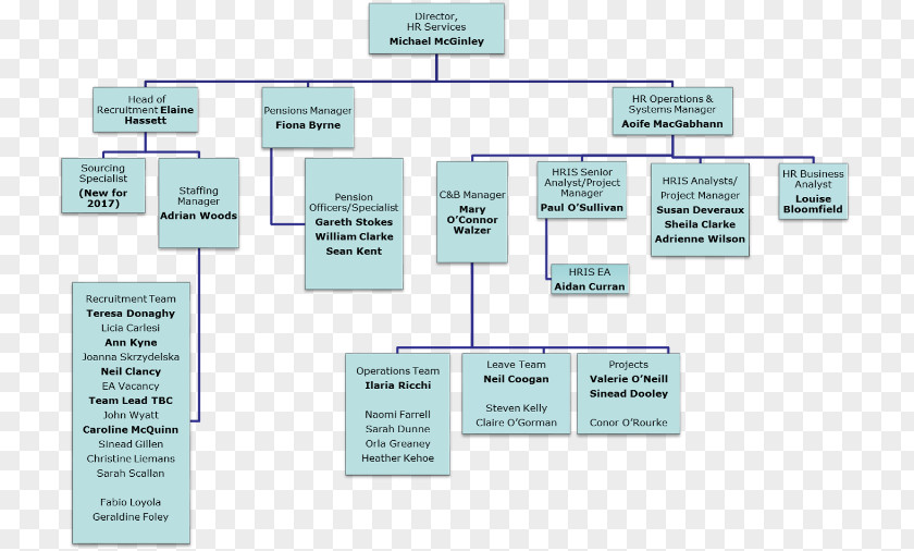 Employees Work Permit Organizational Chart Human Resource Management System Business PNG