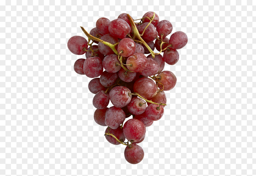 Grape Common Vine Seedless Fruit Zante Currant Organic Food PNG