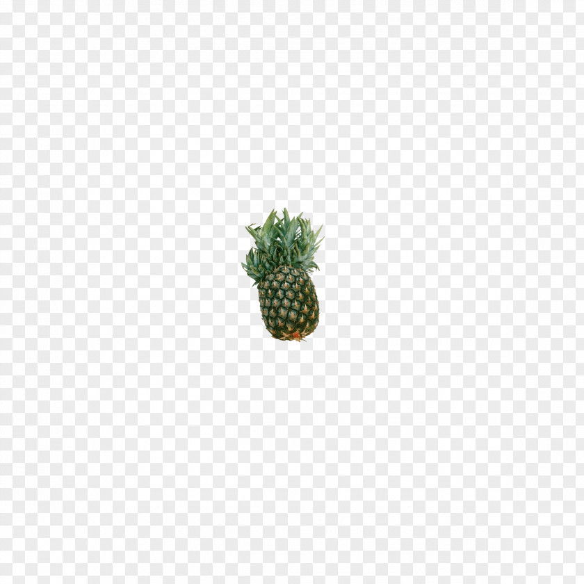 Green Pineapple Pattern PNG