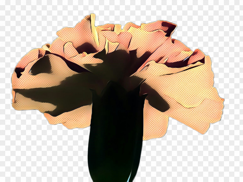 Petal Feather PNG