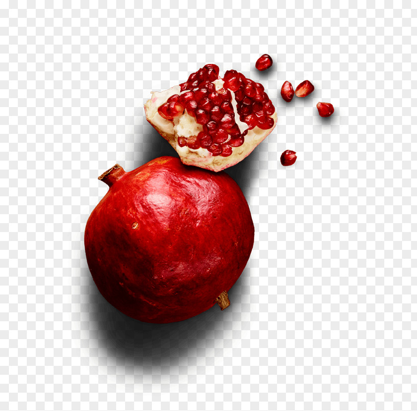 Pomegranate Juice Dog Food Ingredient PNG