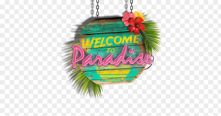 Welcome To Paradise Song English Information PNG