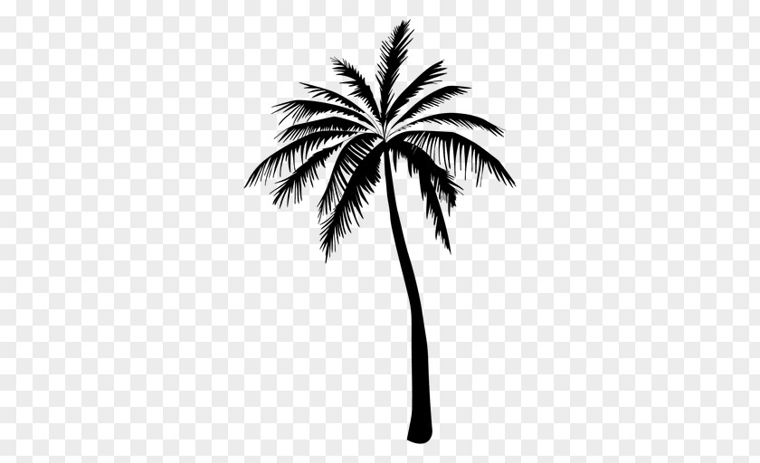 Date Palm Arecaceae Tree Silhouette Clip Art PNG