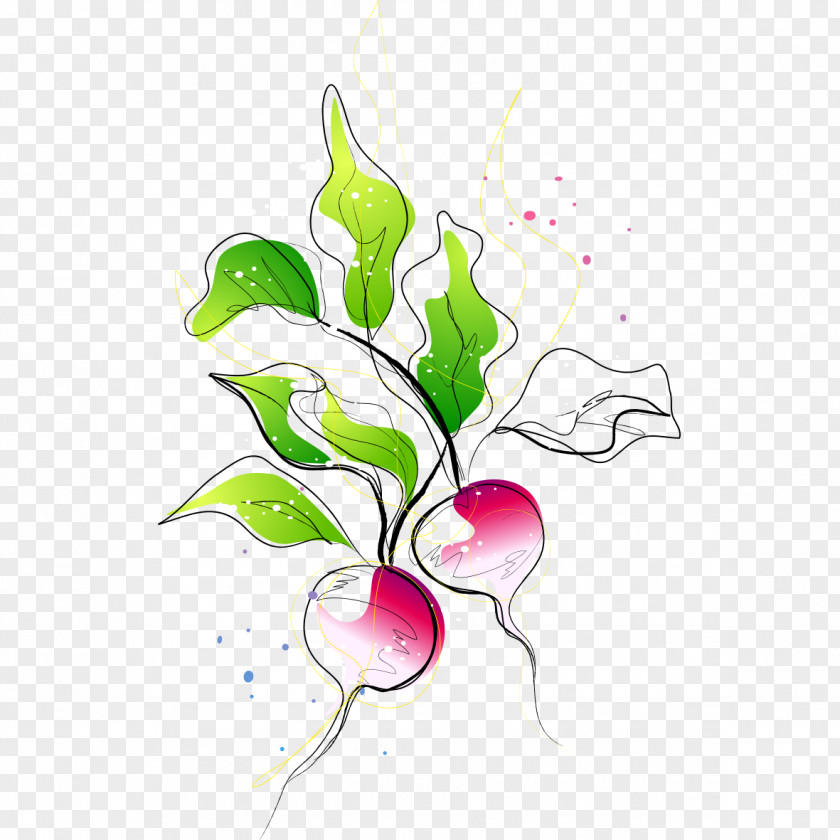Hand-painted Carrot Vegetable Radish PNG