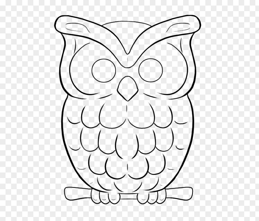 Owl Drawing Line Art PNG