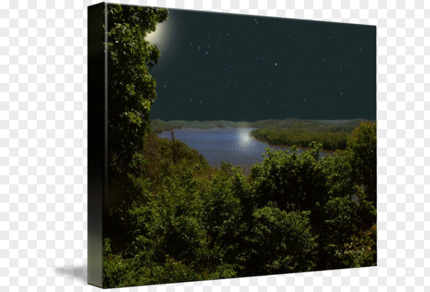 The Seventh Evening Of Moon Lake Water Resources Land Lot Inlet Picture Frames PNG