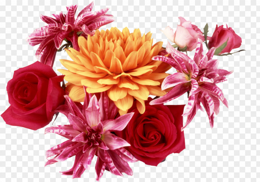 Bushes Cut Flowers Garden Roses Flower Bouquet PNG