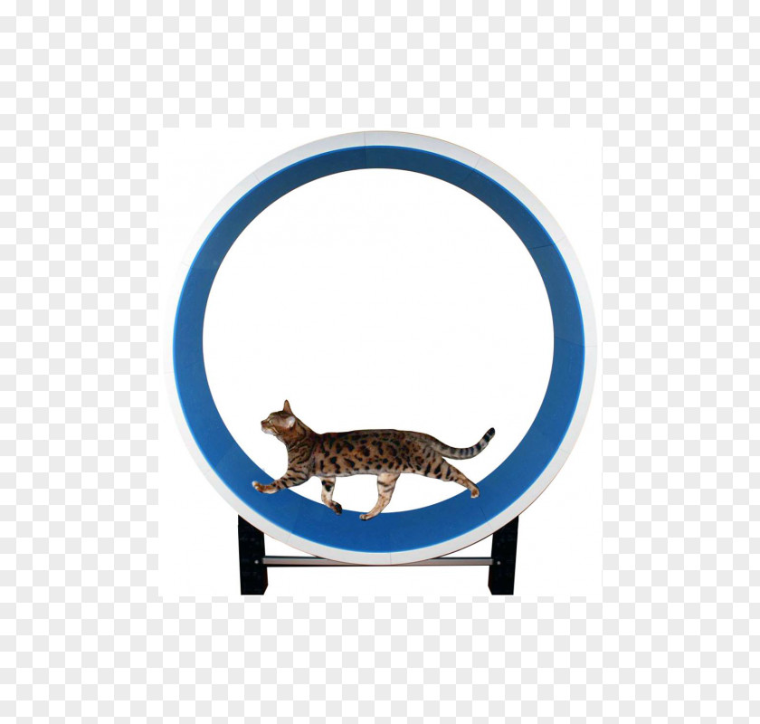 Cat Play And Toys Mouse Clip Art Felidae PNG