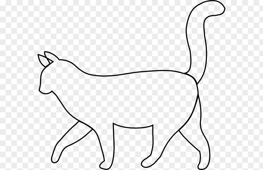 Color Kitten Black Cat Drawing Clip Art PNG