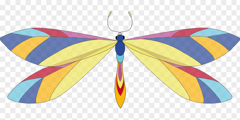 Colored Dragonfly Free Content Download Clip Art PNG
