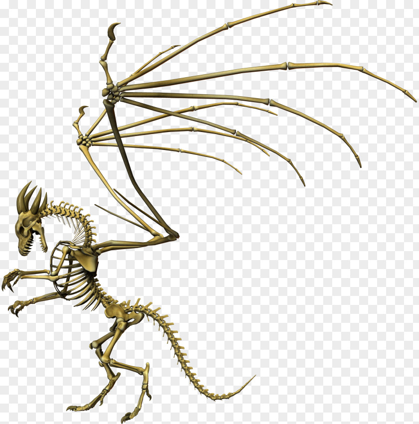 Dragon Skeleton Insect Animation PNG