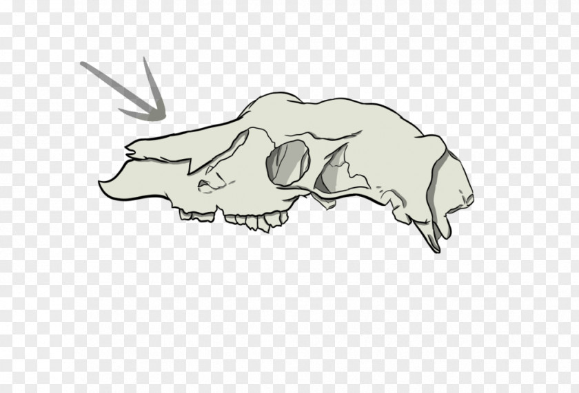 Pig Canidae Cattle Drawing Clip Art PNG