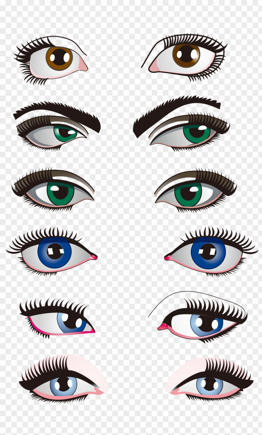 Vector Realistic Facial Expressions Eyes Human Eye Euclidean Clip Art PNG