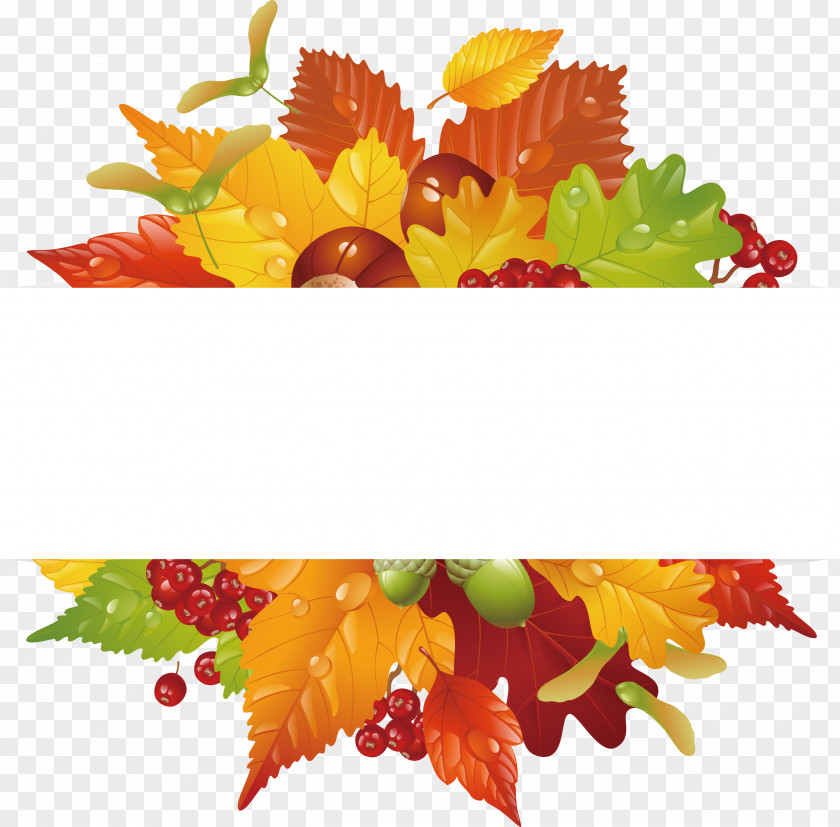 Beautiful Autumn Leaves Label Leaf Color Euclidean Vector Clip Art PNG