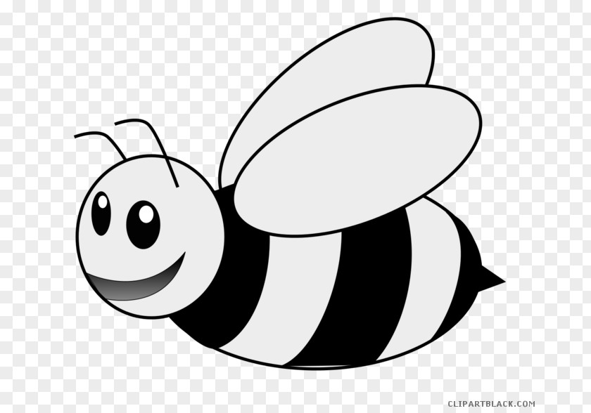 Bee Bumblebee Coloring Book Colouring Pages Honey PNG