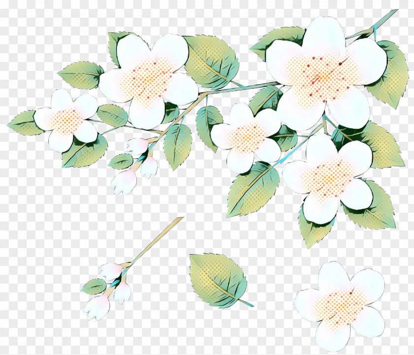 Floral Design Cut Flowers Rose Family Plant Stem PNG