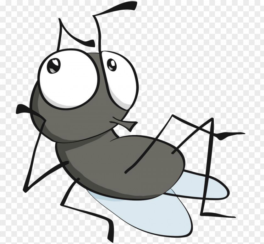 Fly YouTube Clip Art PNG