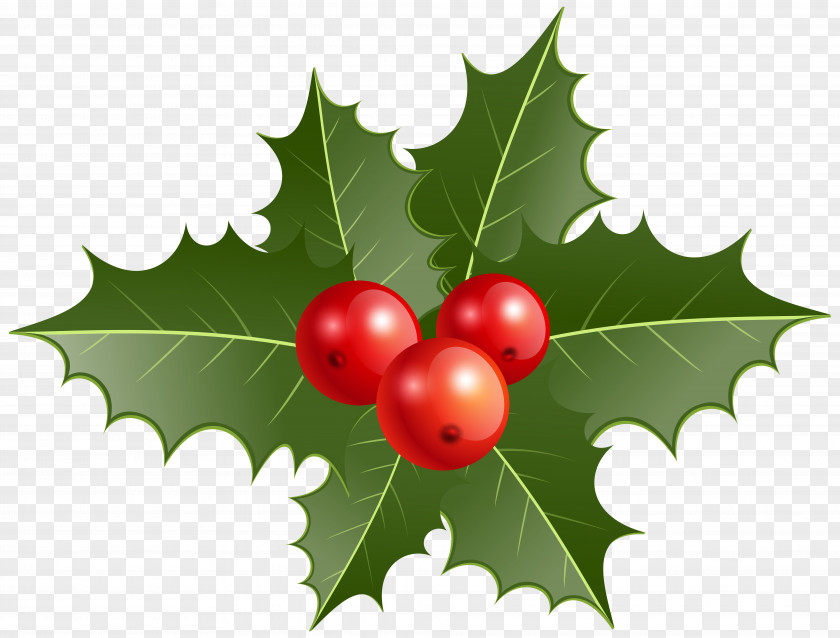 Peppers Clipart Mistletoe Common Holly Christmas Clip Art PNG