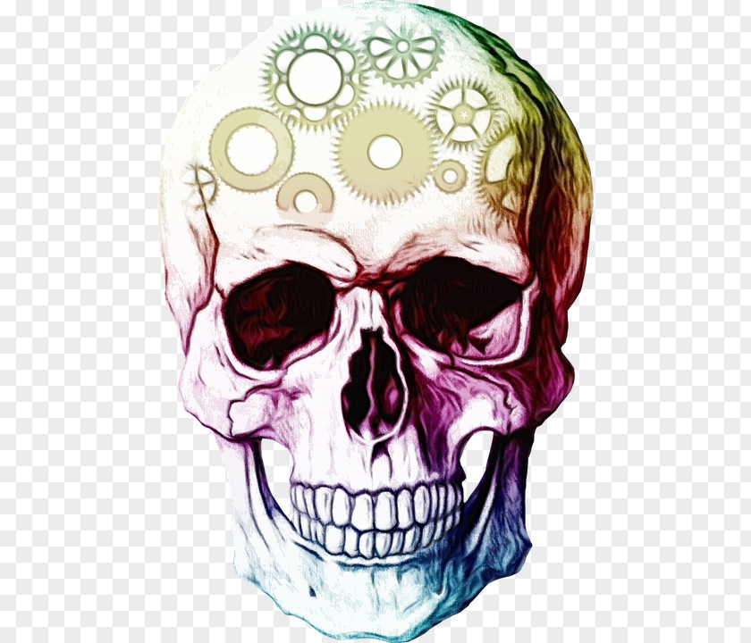 Drawing Jaw Day Of The Dead Skull PNG