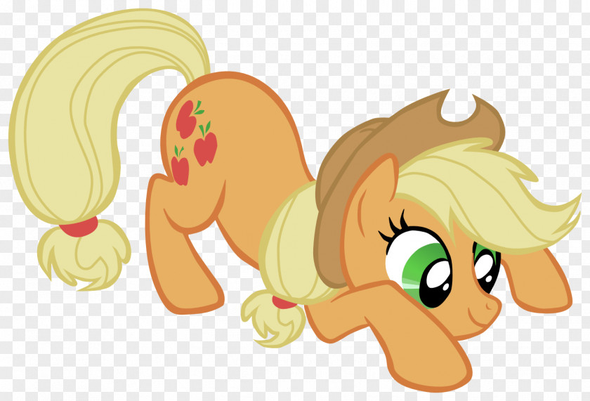 My Little Pony Applejack Rainbow Dash Pinkie Pie Fluttershy Rarity PNG
