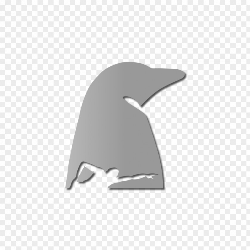 Penguin Swimming Dolphin Font PNG