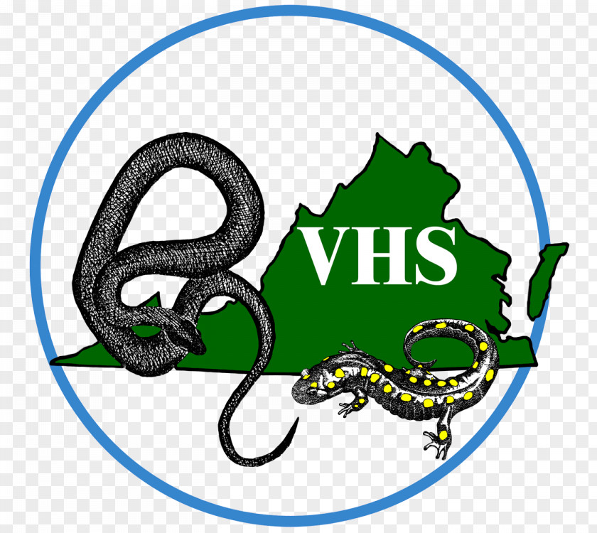 Snake Virginia Herpetological Society Herpetology Reptile PNG