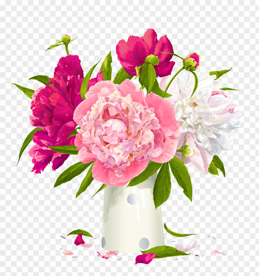 Vase With Peonies Clipart Peony Paeonia Lactiflora Flower Clip Art PNG