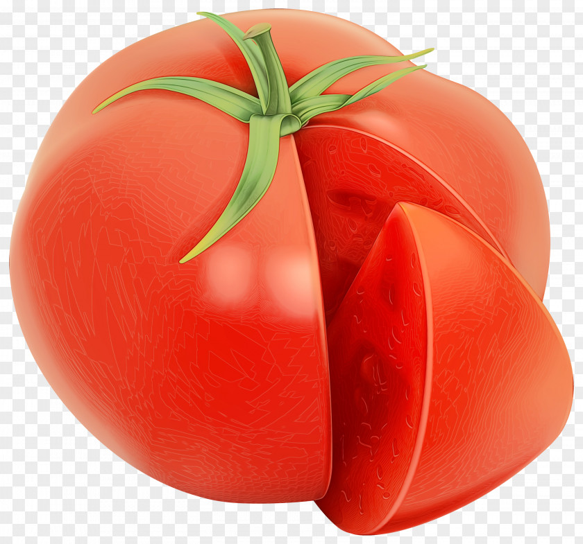 Vegan Nutrition Nightshade Family Tomato Cartoon PNG