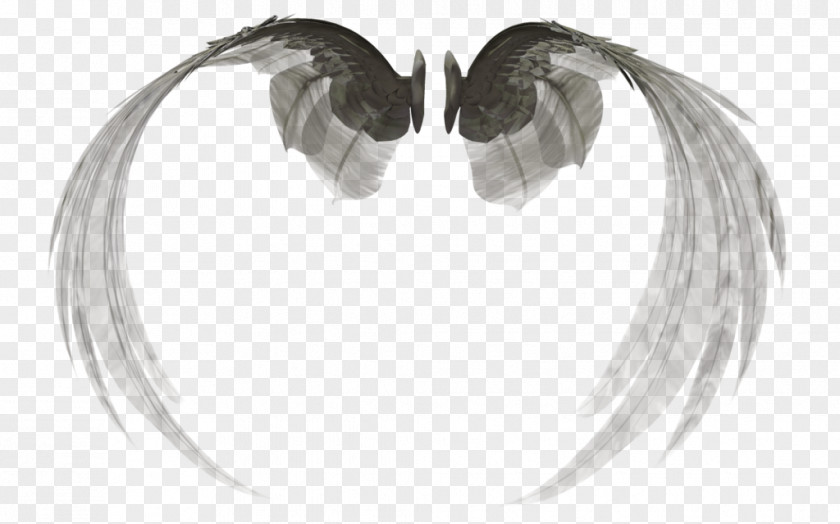 DeviantArt Feather Artist Beak PNG