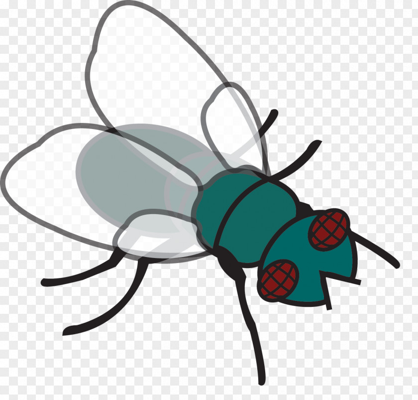 Fly Swatter Cliparts Housefly Fly-killing Device Download Clip Art PNG